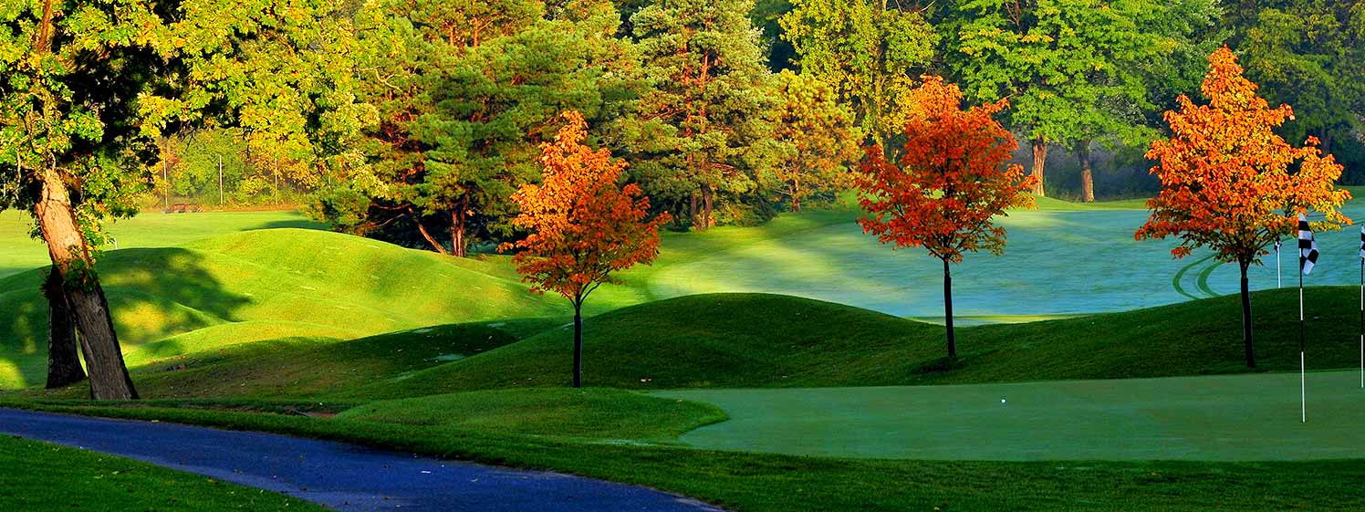 dellwood_interior_golf